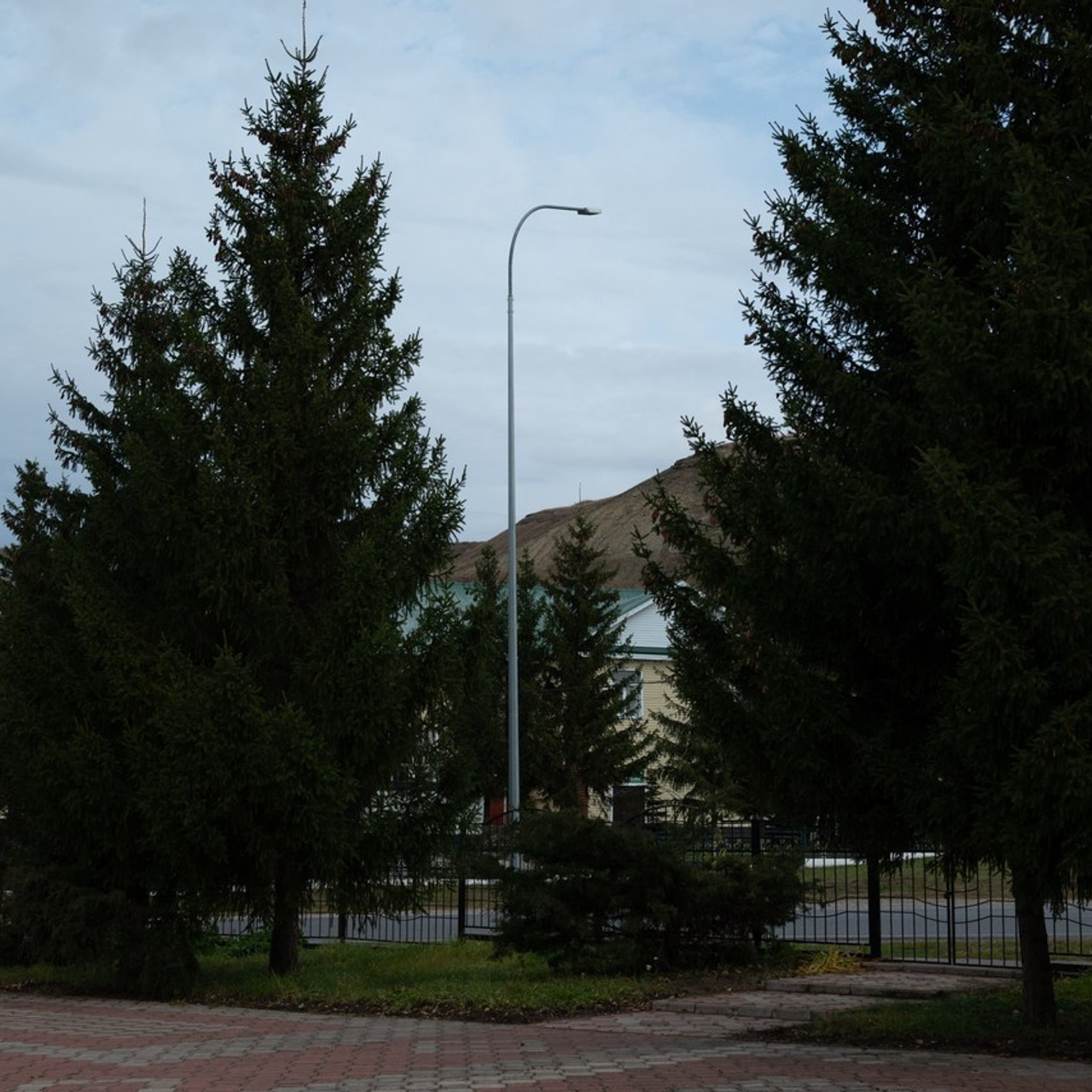 Отзывы. Фотограф Юлия Ситдикова