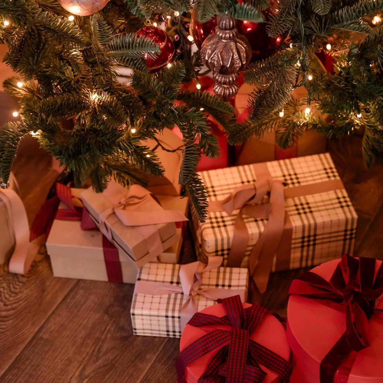 Отзывы. Семейный и детский фотограф в Москве и на Новой Риге Светлана Демина