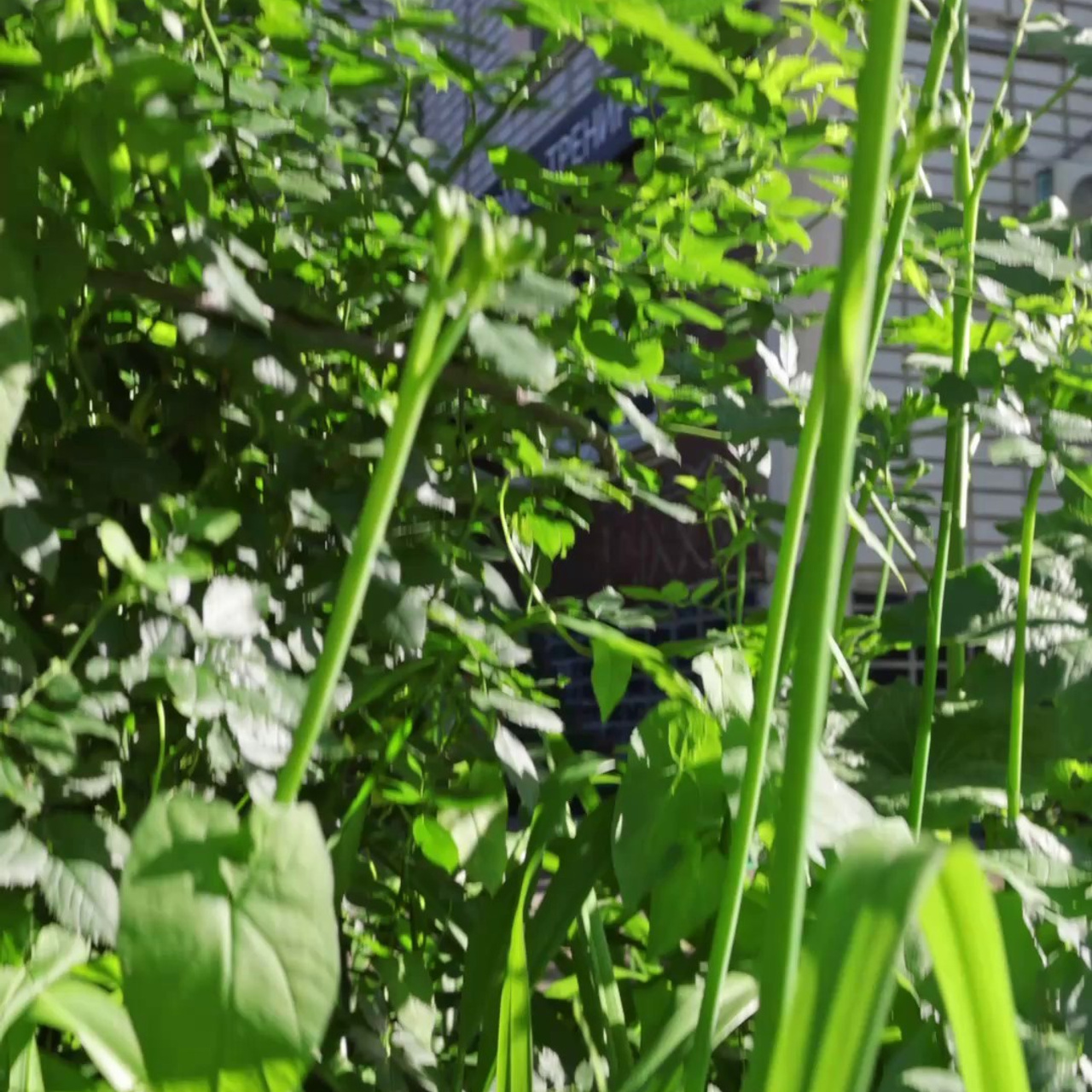 Für Business. Professionelle Foto- und Videoaufnahmen in Deutschland