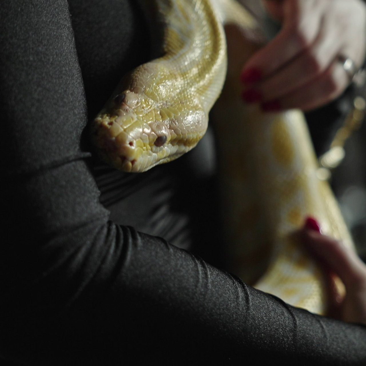 Видео люди. Профессиональная фото- и видеосъёмка в Германии