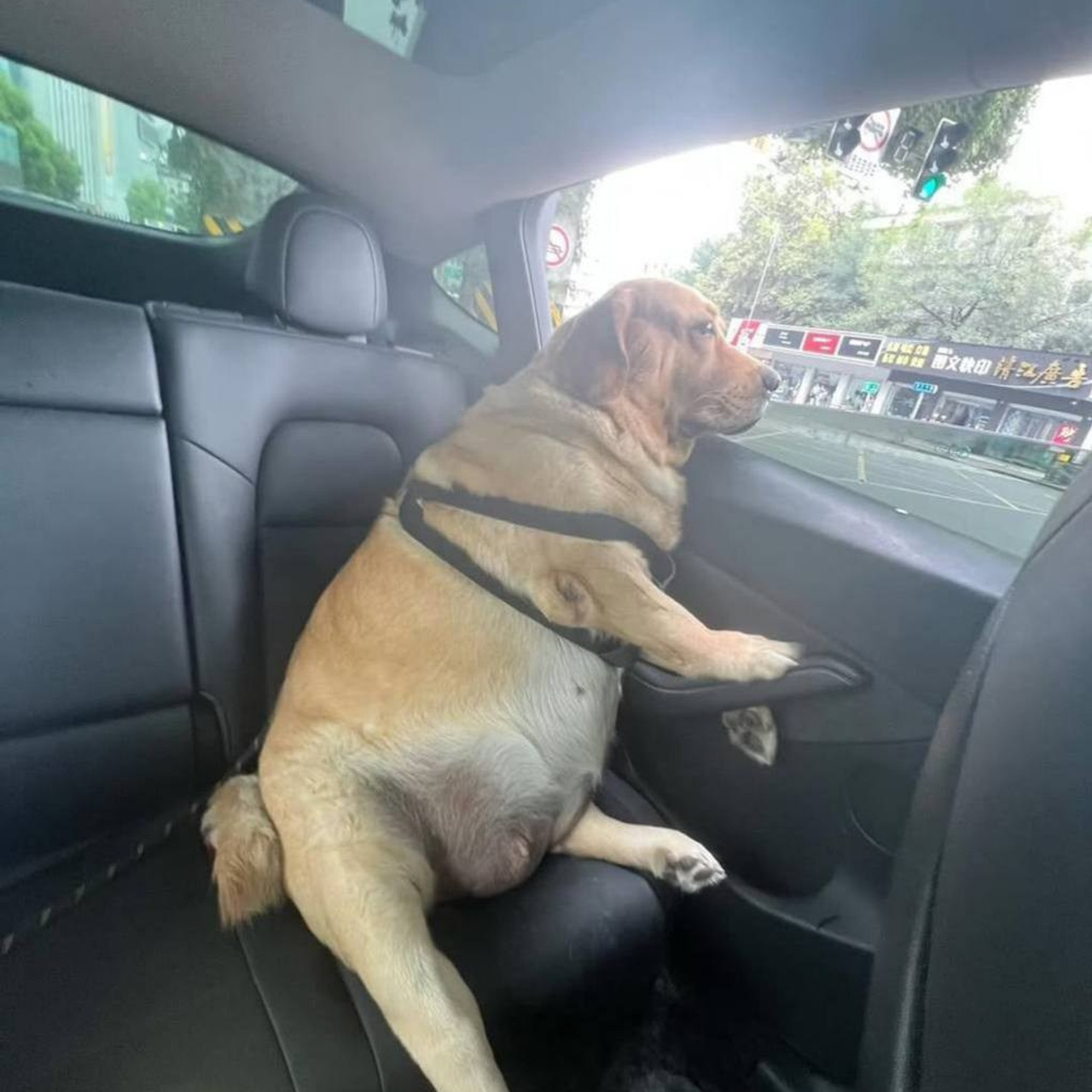 Отзывы. Креативный фотограф Нижний Новгород Никита Корольков