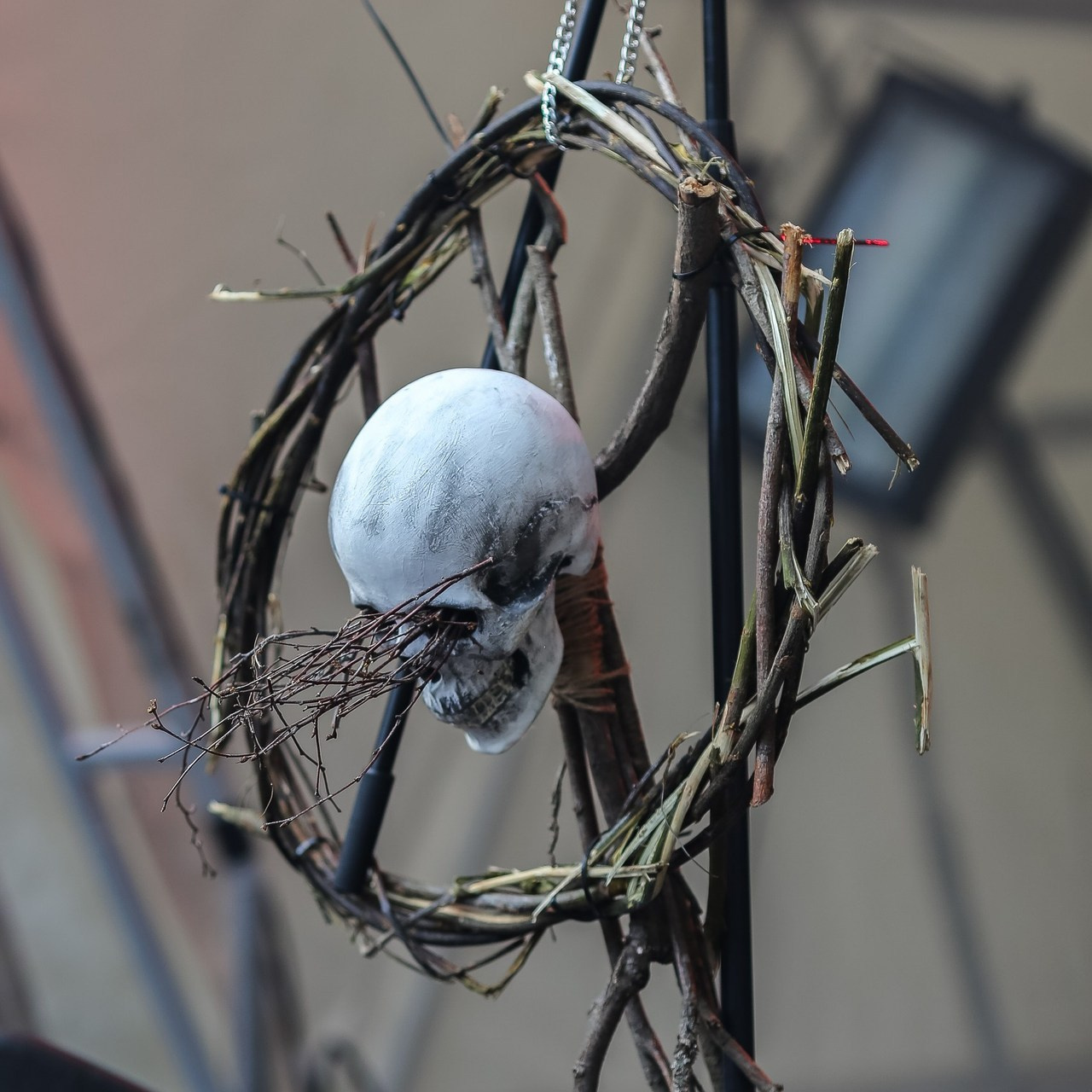 Отзывы. Фотограф в Санкт-Петербурге Чумаков Семен