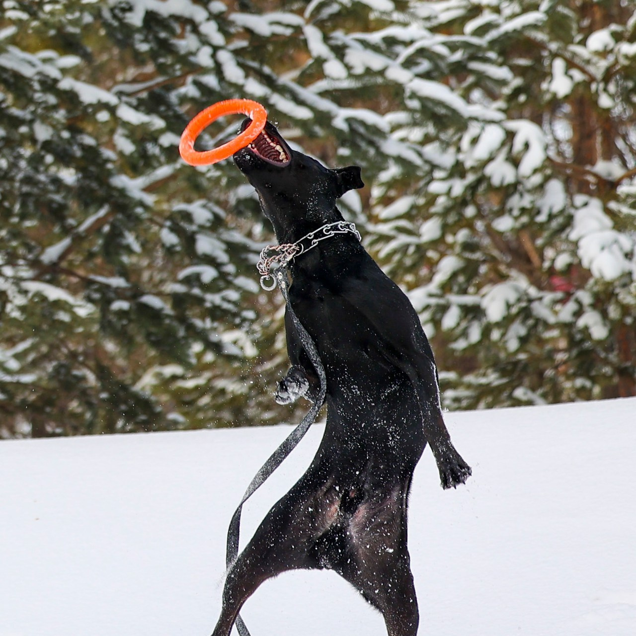 Отзывы. Фотограф 📸 семейный, предметный, репортажный