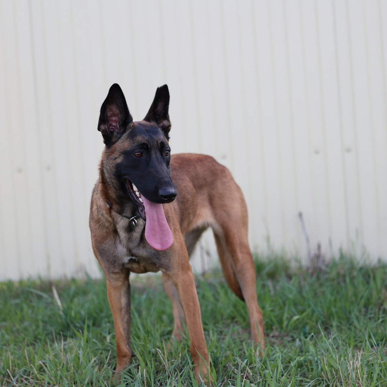 Отзывы. Фотограф 📸 семейный, предметный, репортажный