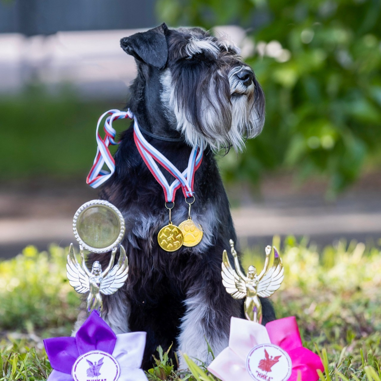Отзывы. Фотограф 📸 семейный, предметный, репортажный