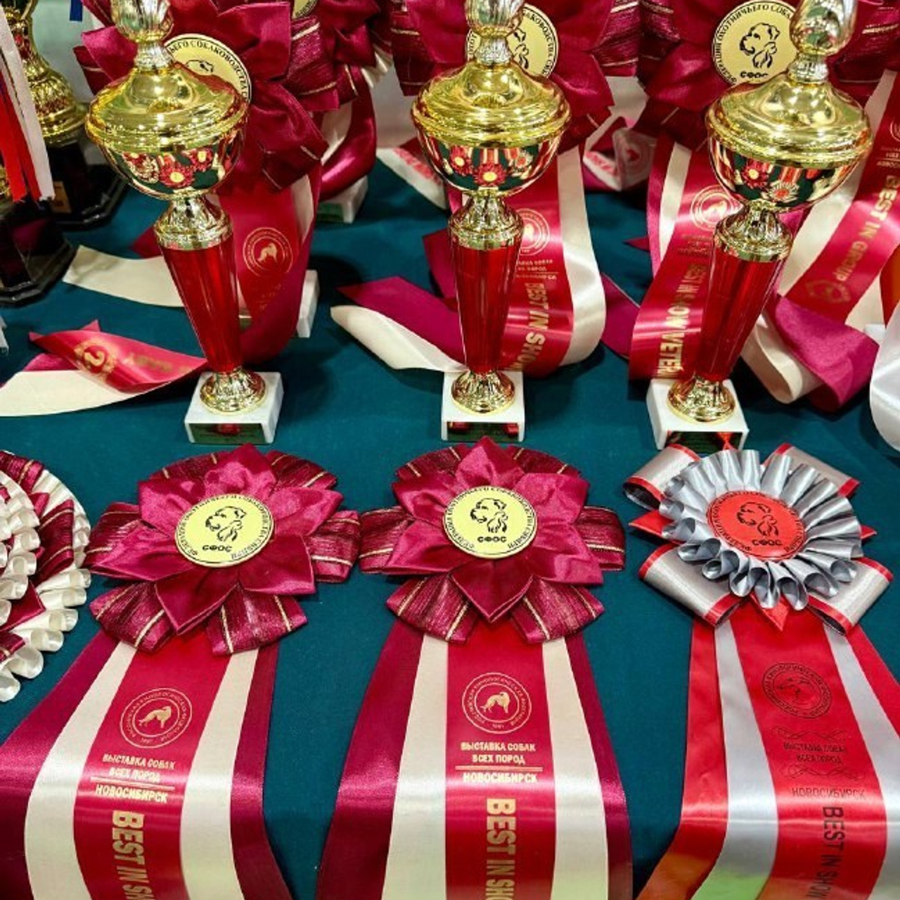 Отзывы. Фотограф 📸 семейный, предметный, репортажный