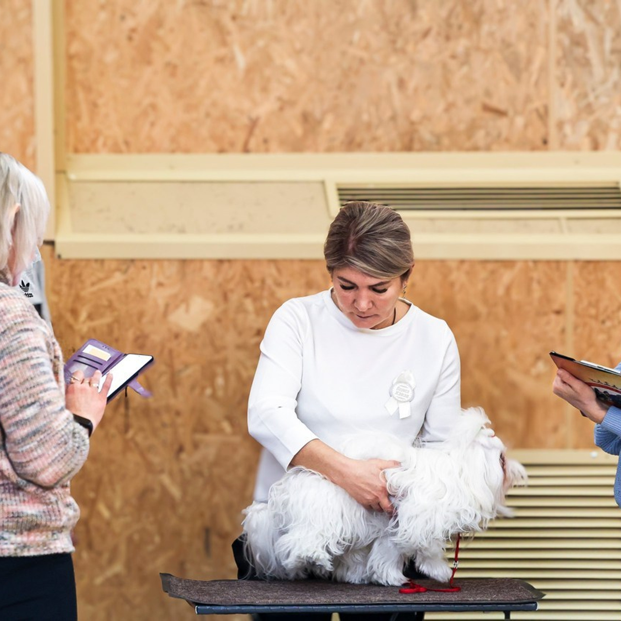 Отзывы. Фотограф 📸 семейный, предметный, репортажный