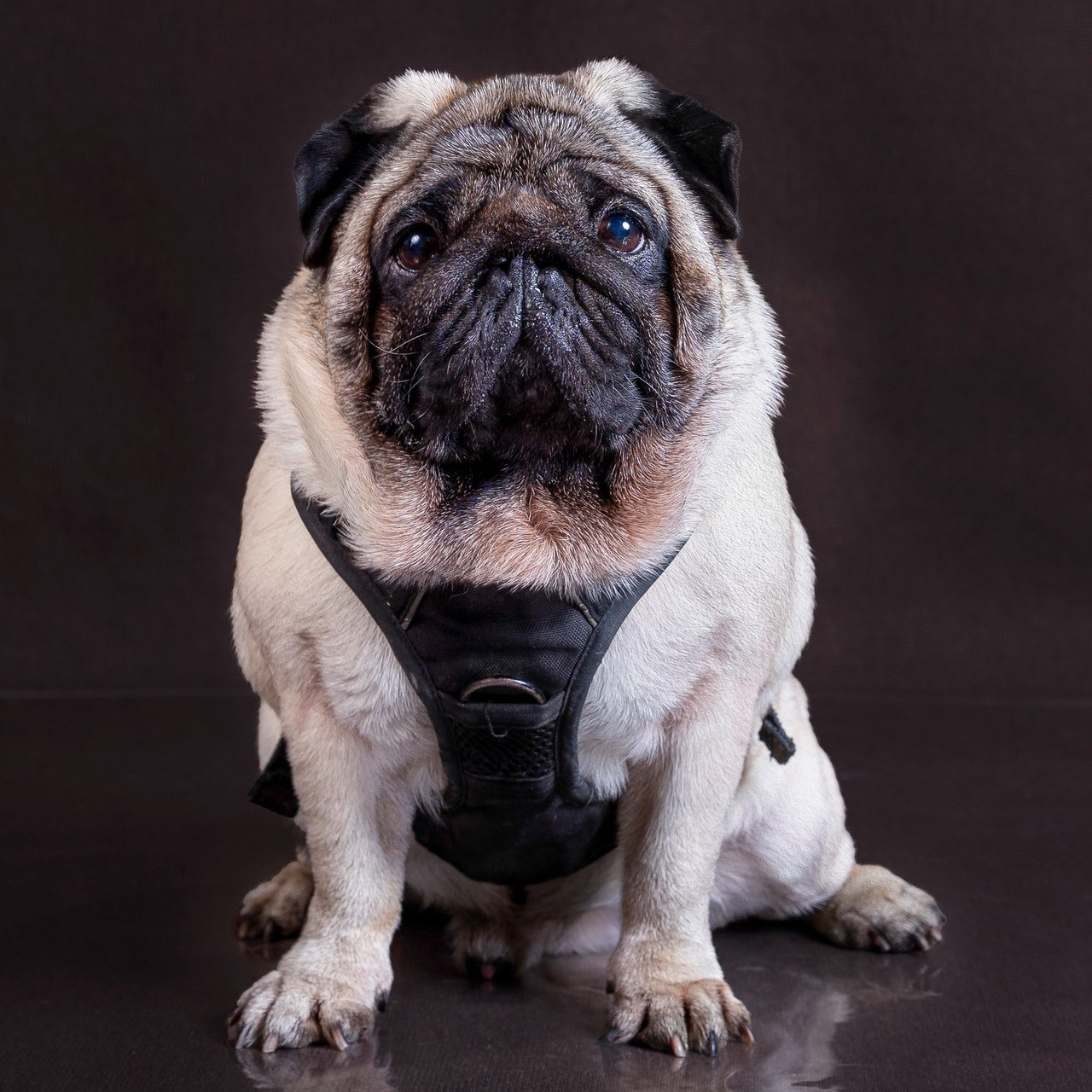 Отзывы. Фотограф 📸 семейный, предметный, репортажный