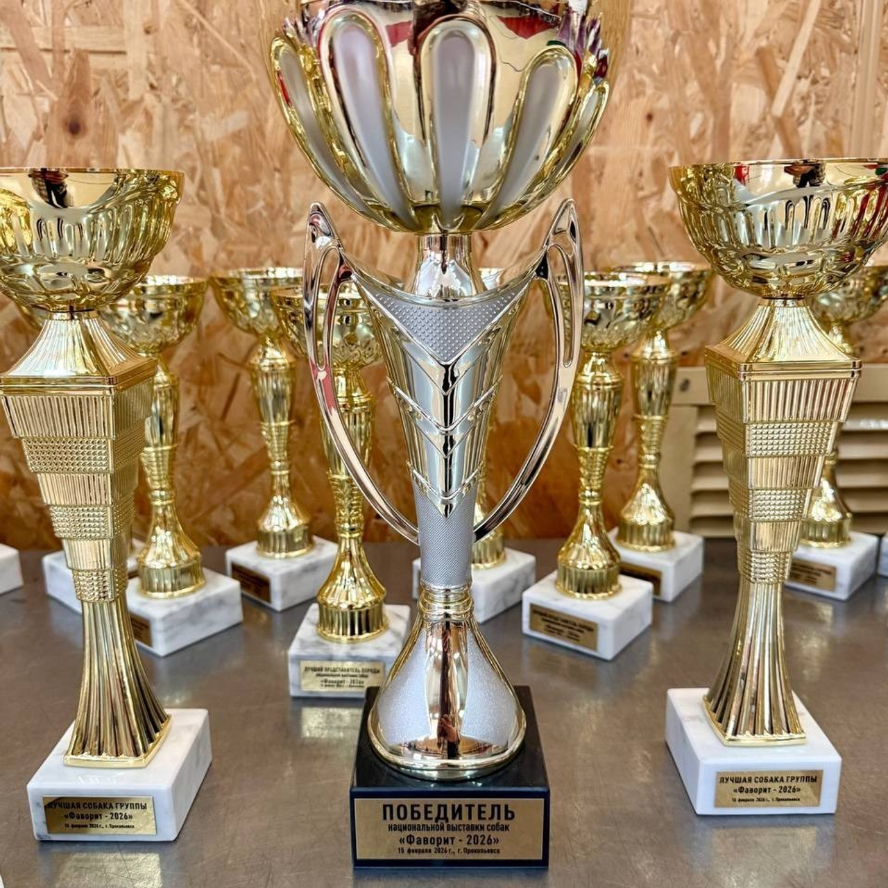 Отзывы. Фотограф 📸 анималист, предметный, репортажный