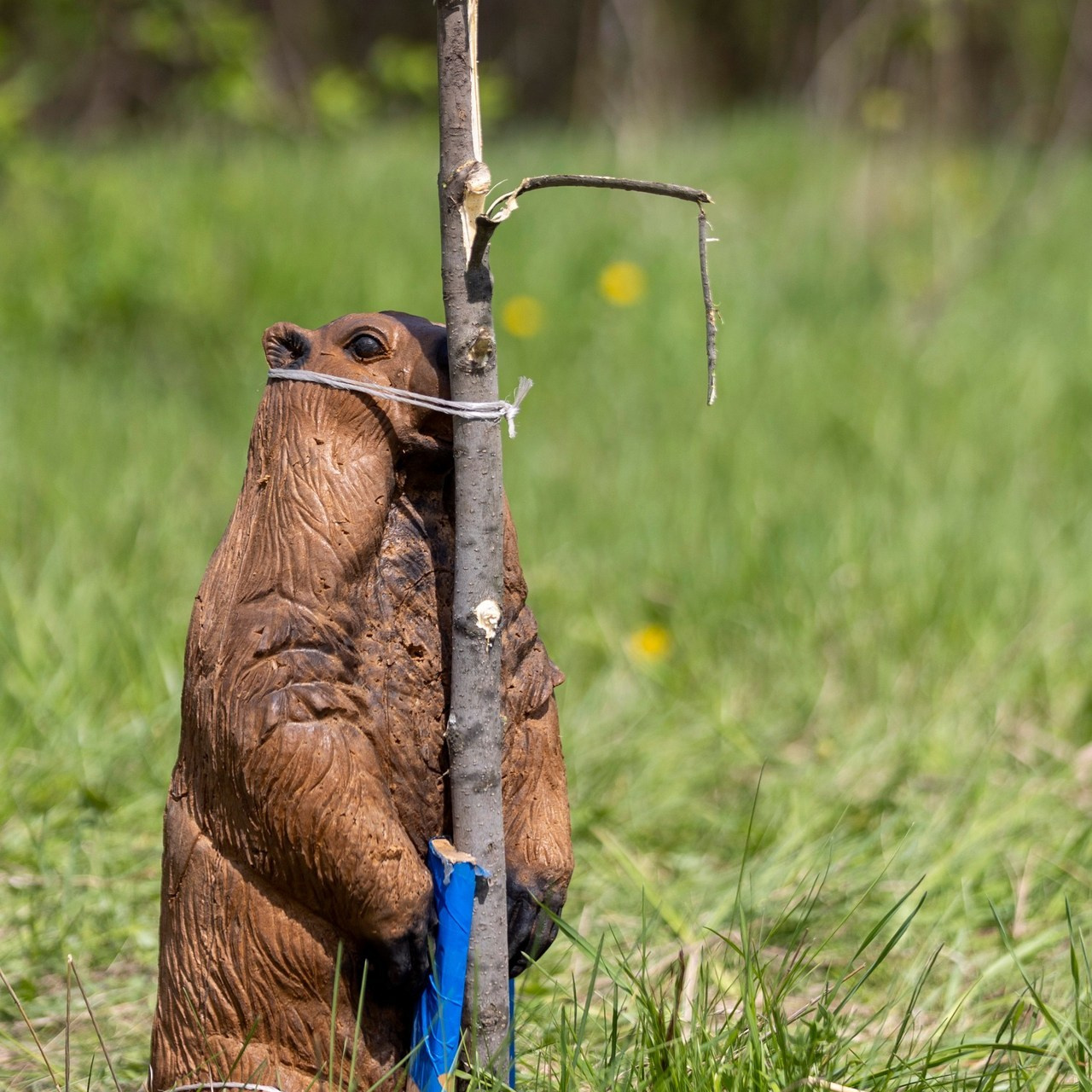 Отзывы. Фотограф 📸 семейный, предметный, репортажный
