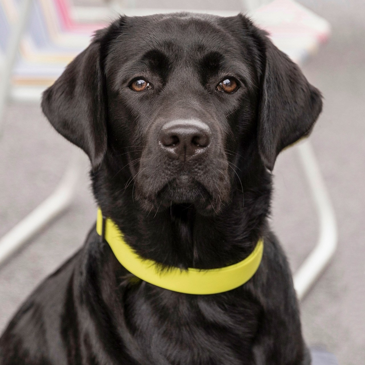 Отзывы. Фотограф 📸 семейный, предметный, репортажный