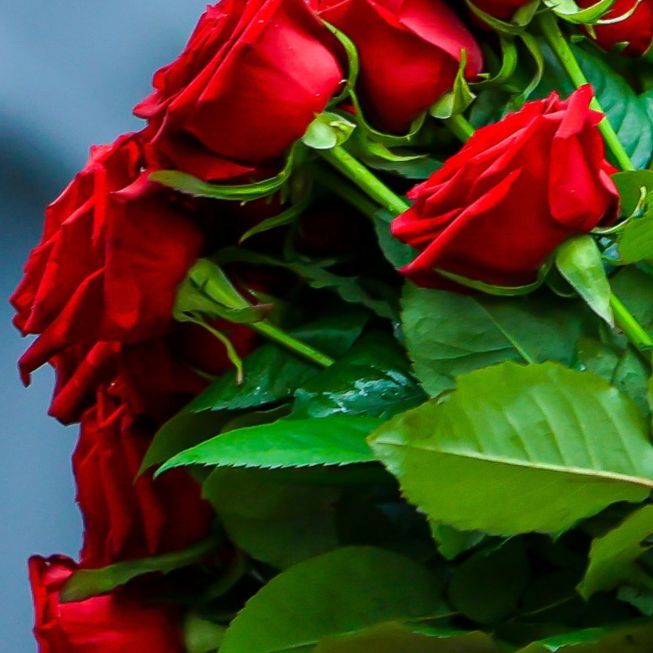 Отзывы. Фотограф 📸 семейный, предметный, репортажный