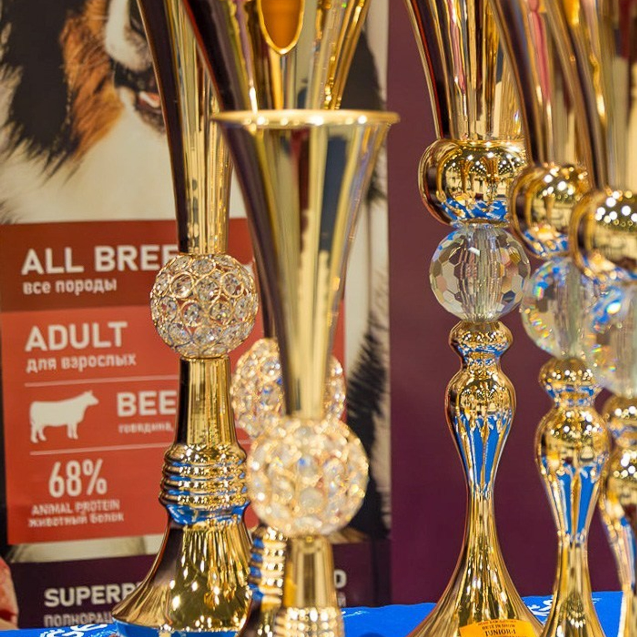 Отзывы. Фотограф 📸 анималист, предметный, репортажный