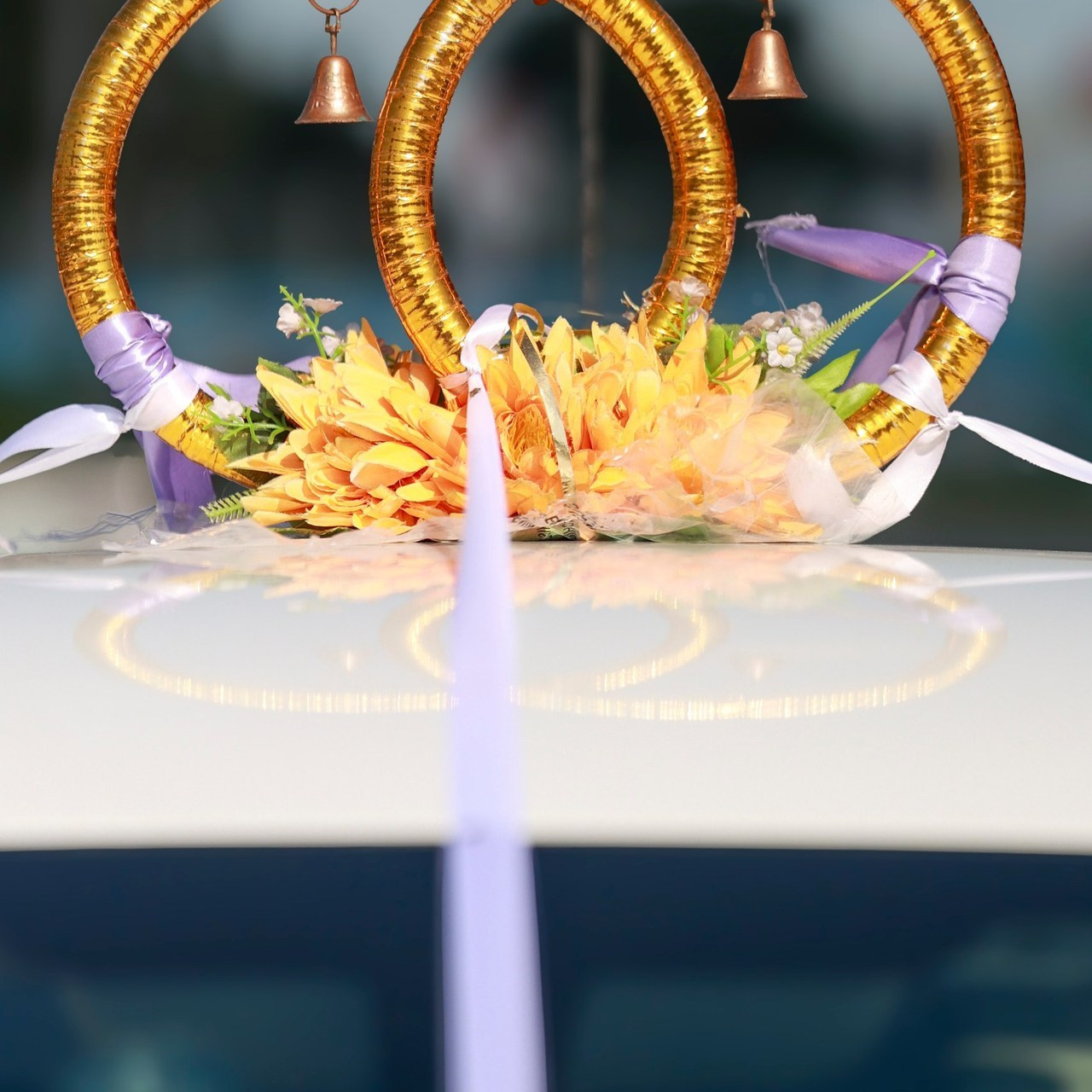 Отзывы. Фотограф 📸 семейный, предметный, репортажный