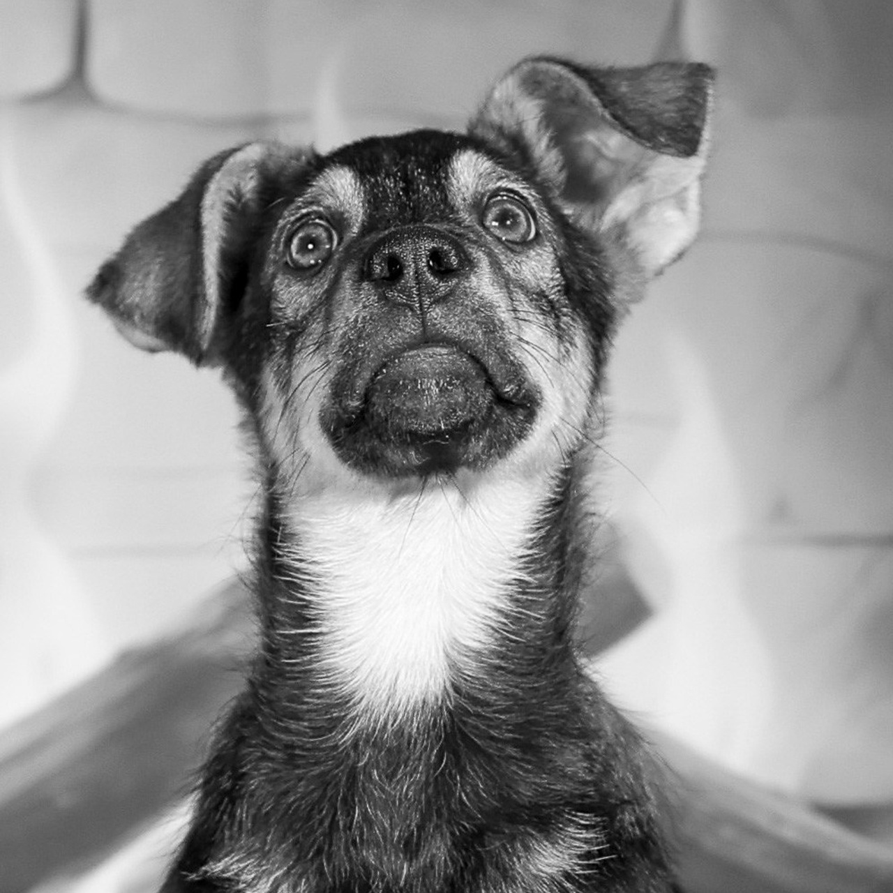 Отзывы. Фотограф 📸 семейный, предметный, репортажный