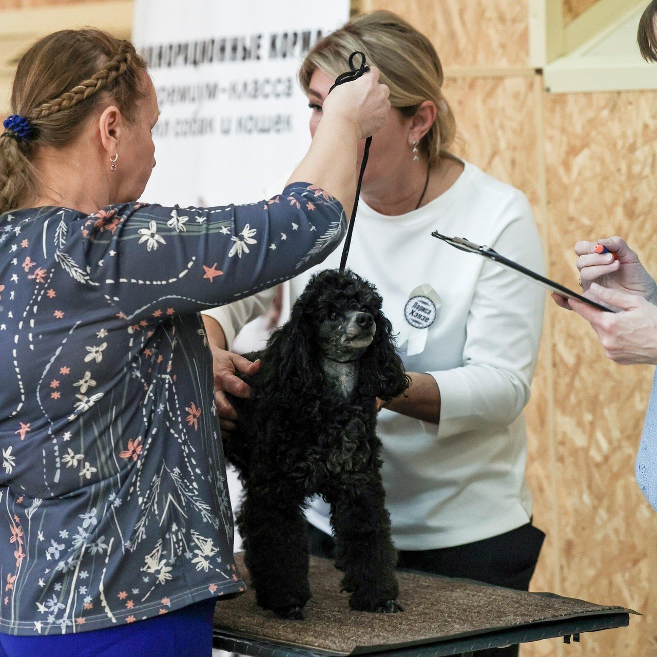 Отзывы. Фотограф 📸 семейный, предметный, репортажный