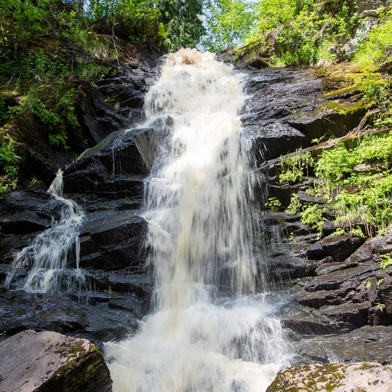 Отзывы. Балетный фотограф в Москве Галина Молчанова