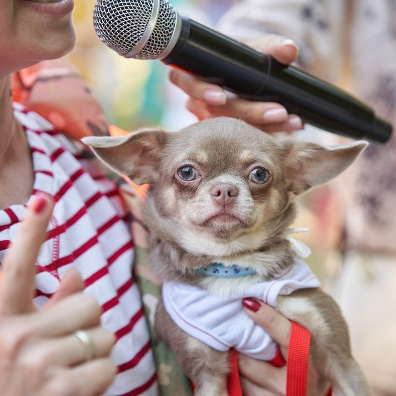Отзывы. Фотограф в Череповце Никита Кривоногов
