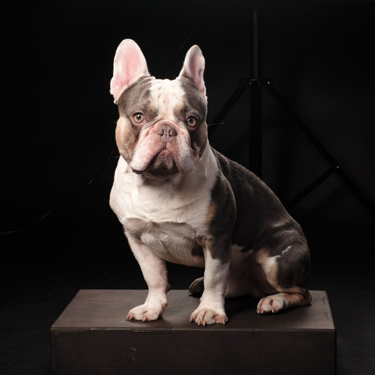 Отзывы. Антон Ив