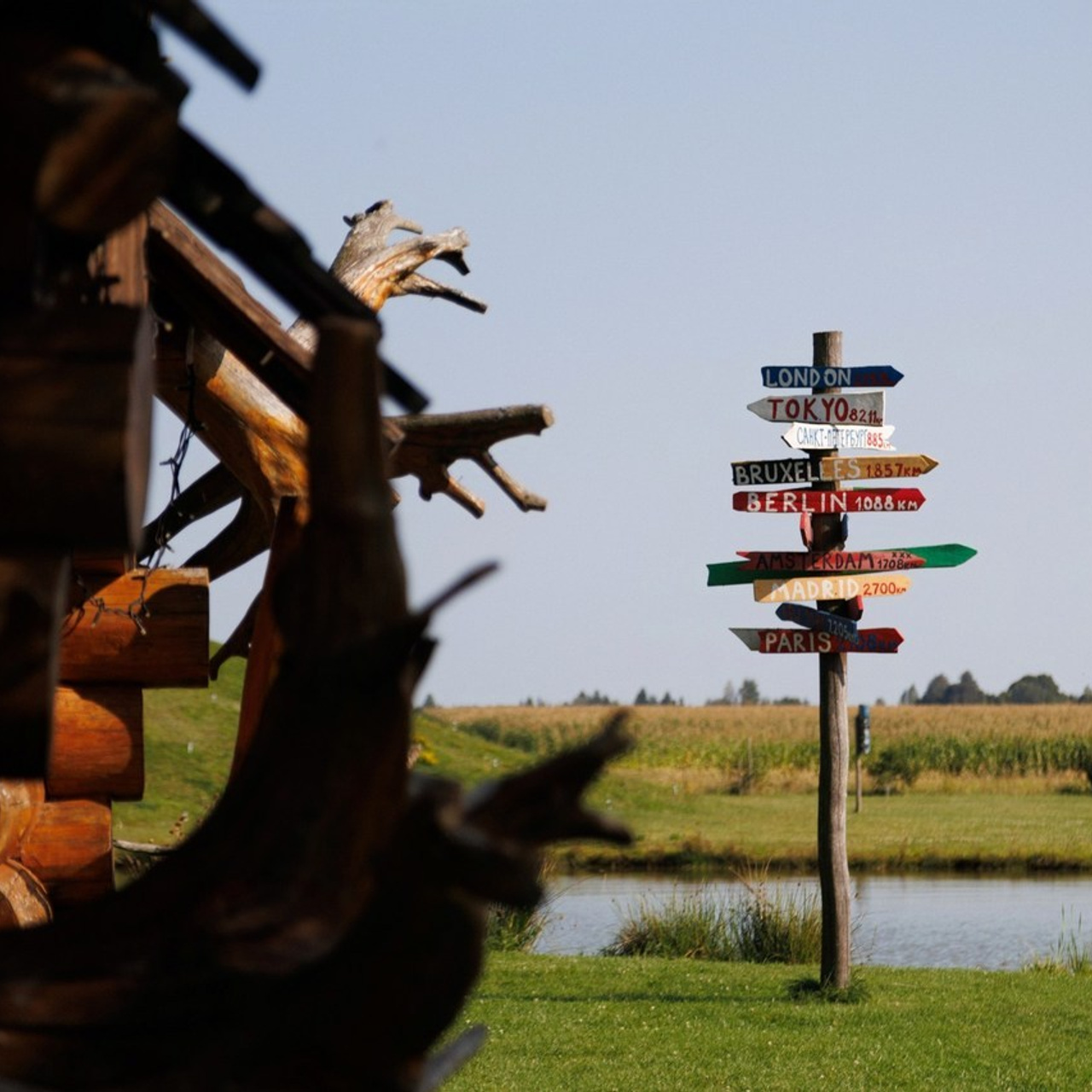 Отзывы. Репортажный фотограф Александр Задорин, Минск, Беларусь