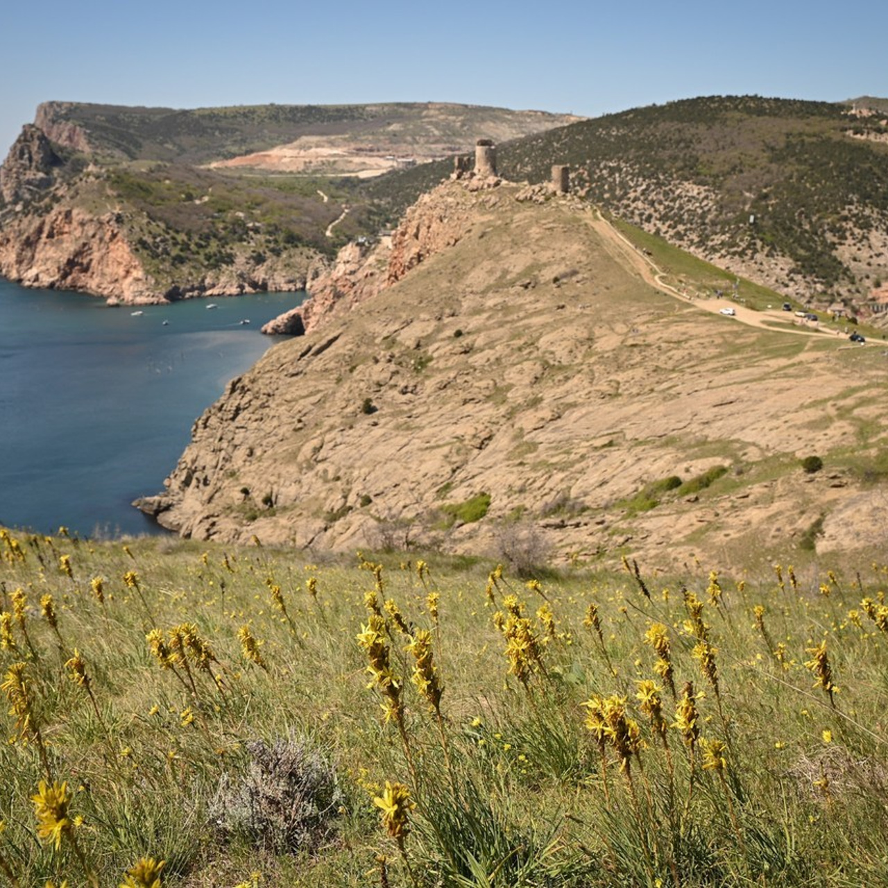 Отзывы. Творческий фотограф в Севастополе — Антонина Марченко