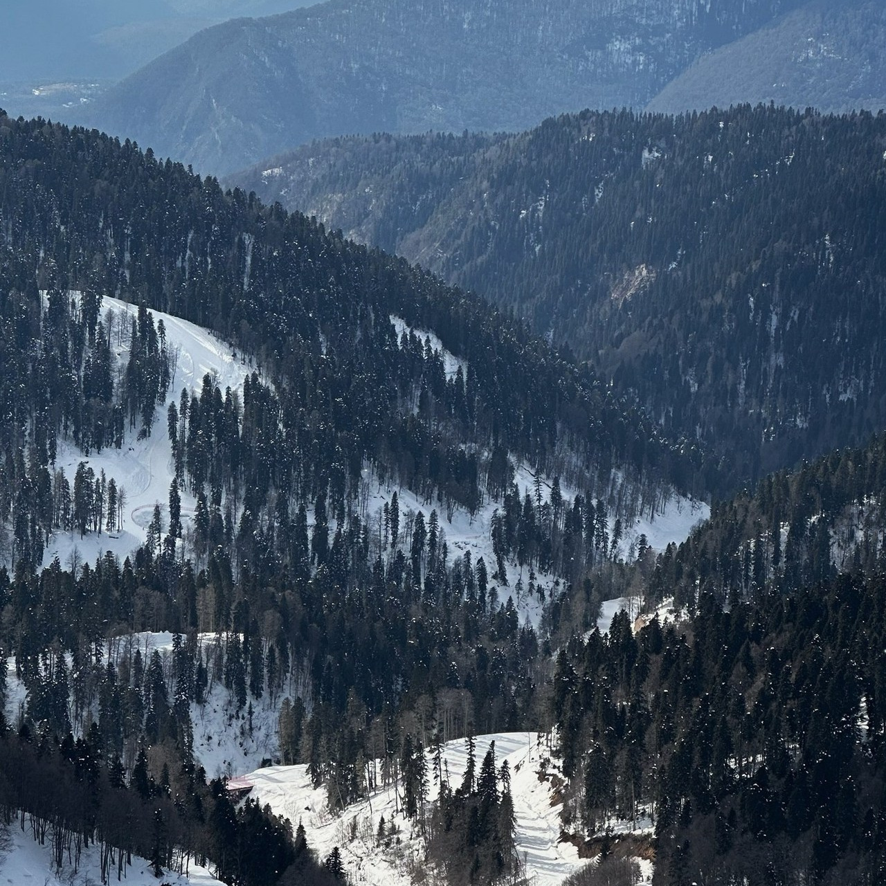 Отзывы. Творческий фотограф в Севастополе — Антонина Марченко