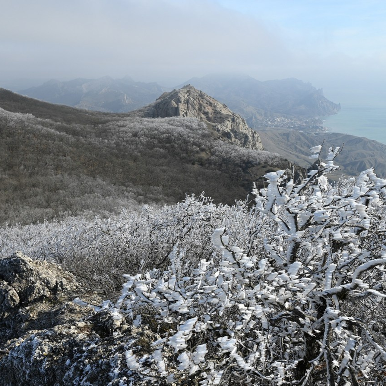 Отзывы. Творческий фотограф в Севастополе — Антонина Марченко