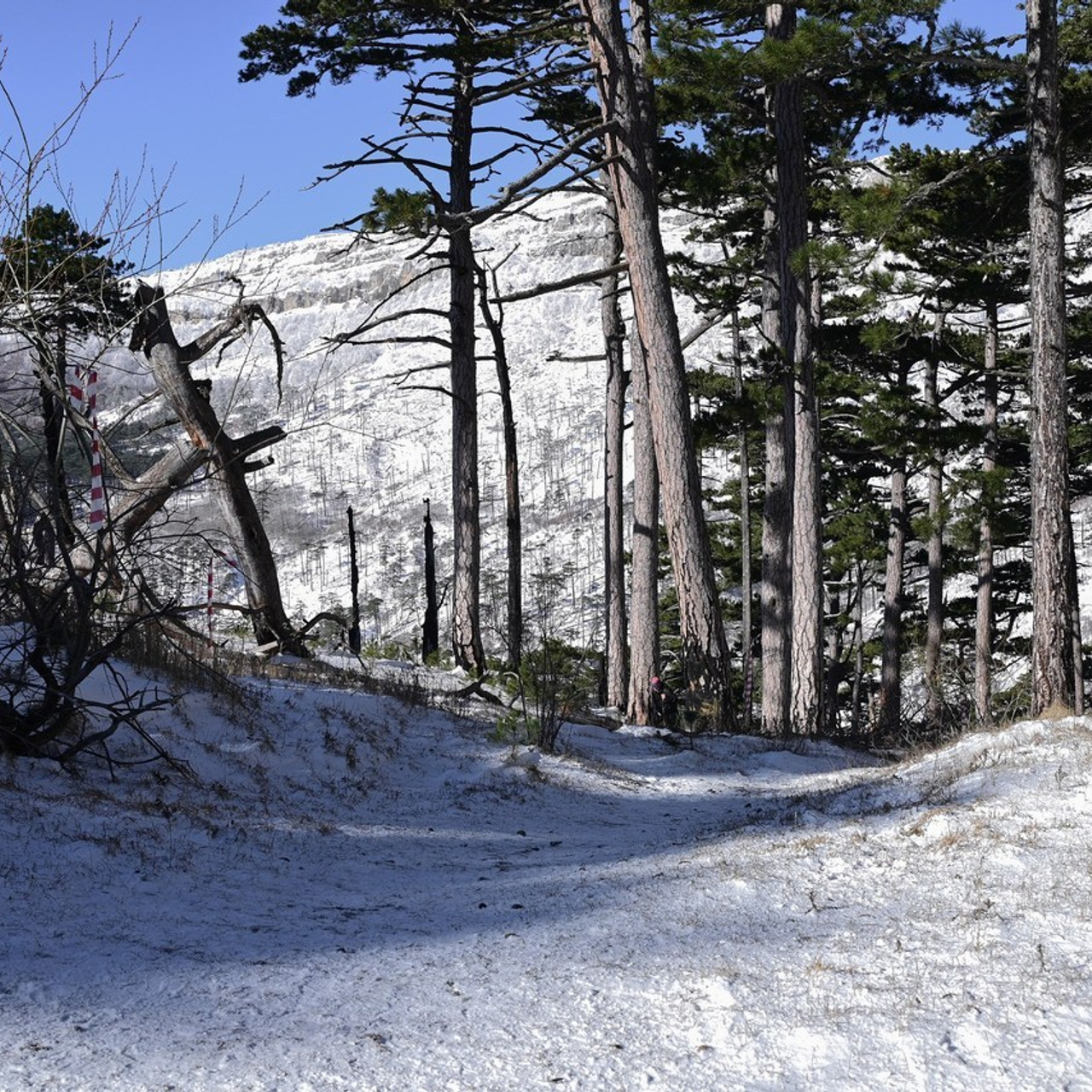 Отзывы. Творческий фотограф в Севастополе — Антонина Марченко
