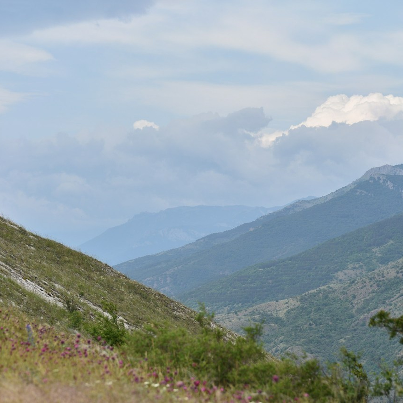 Отзывы. Творческий фотограф в Севастополе — Антонина Марченко