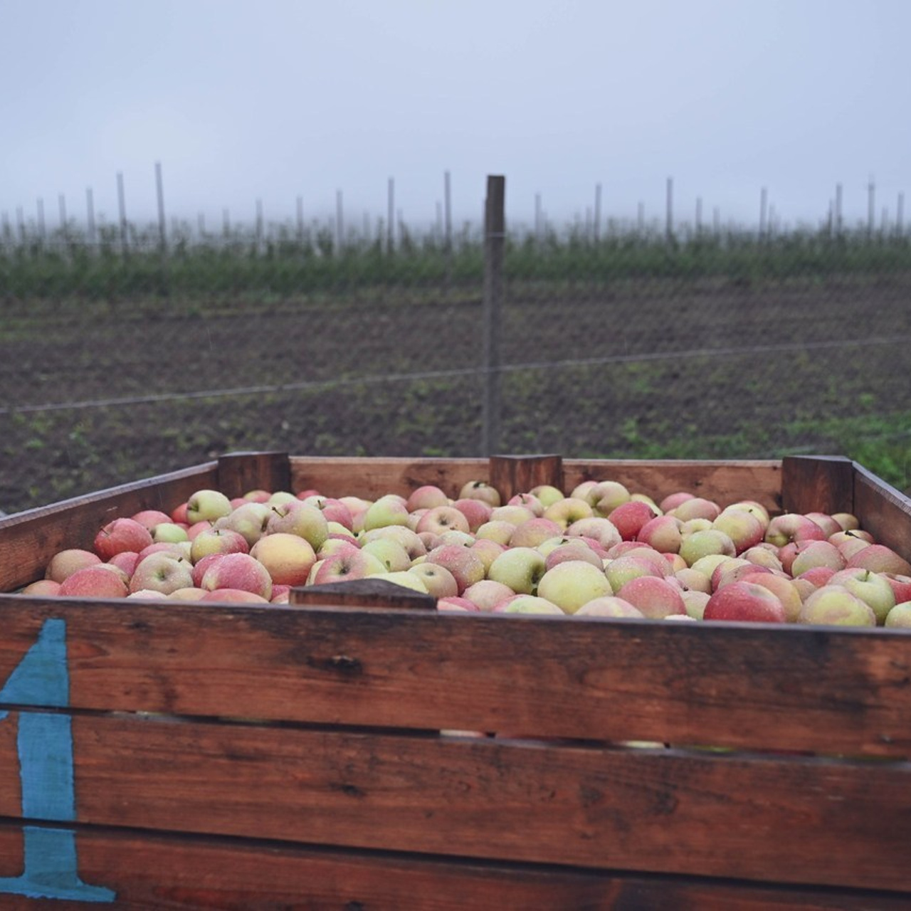 Отзывы. Творческий фотограф в Севастополе — Антонина Марченко