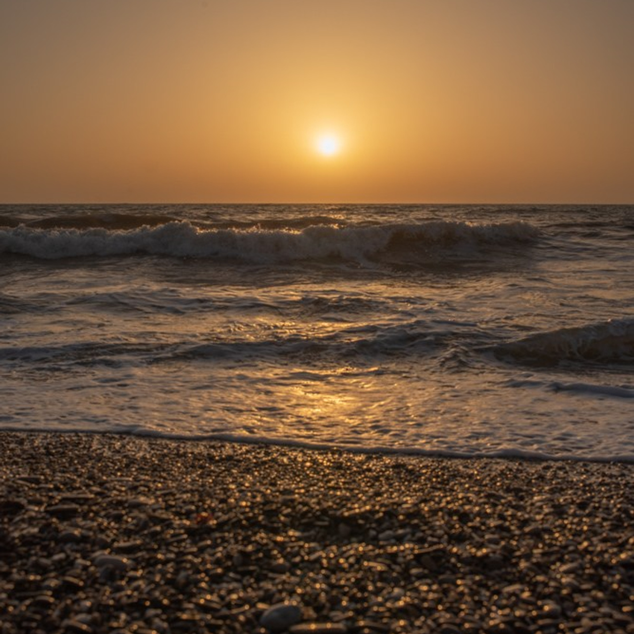 Выезд Альфа