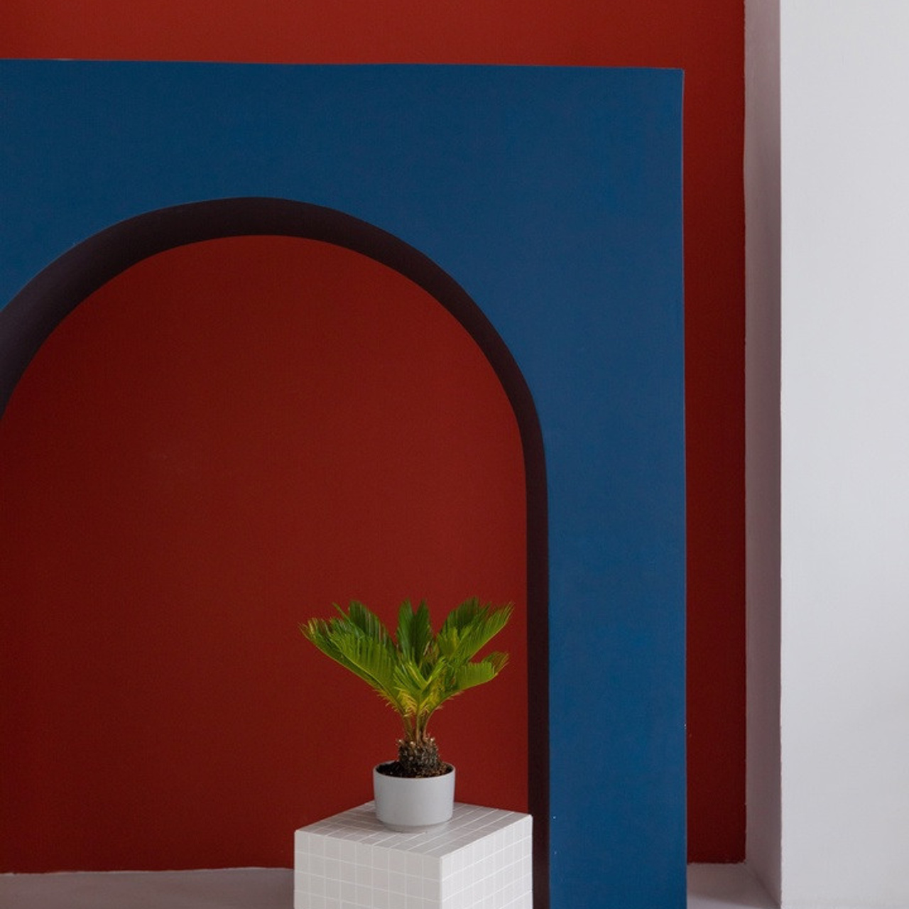 FREEDOM PHOTOSTUDIO. Фотограф — видеограф Галактионов Максим Новосибирск