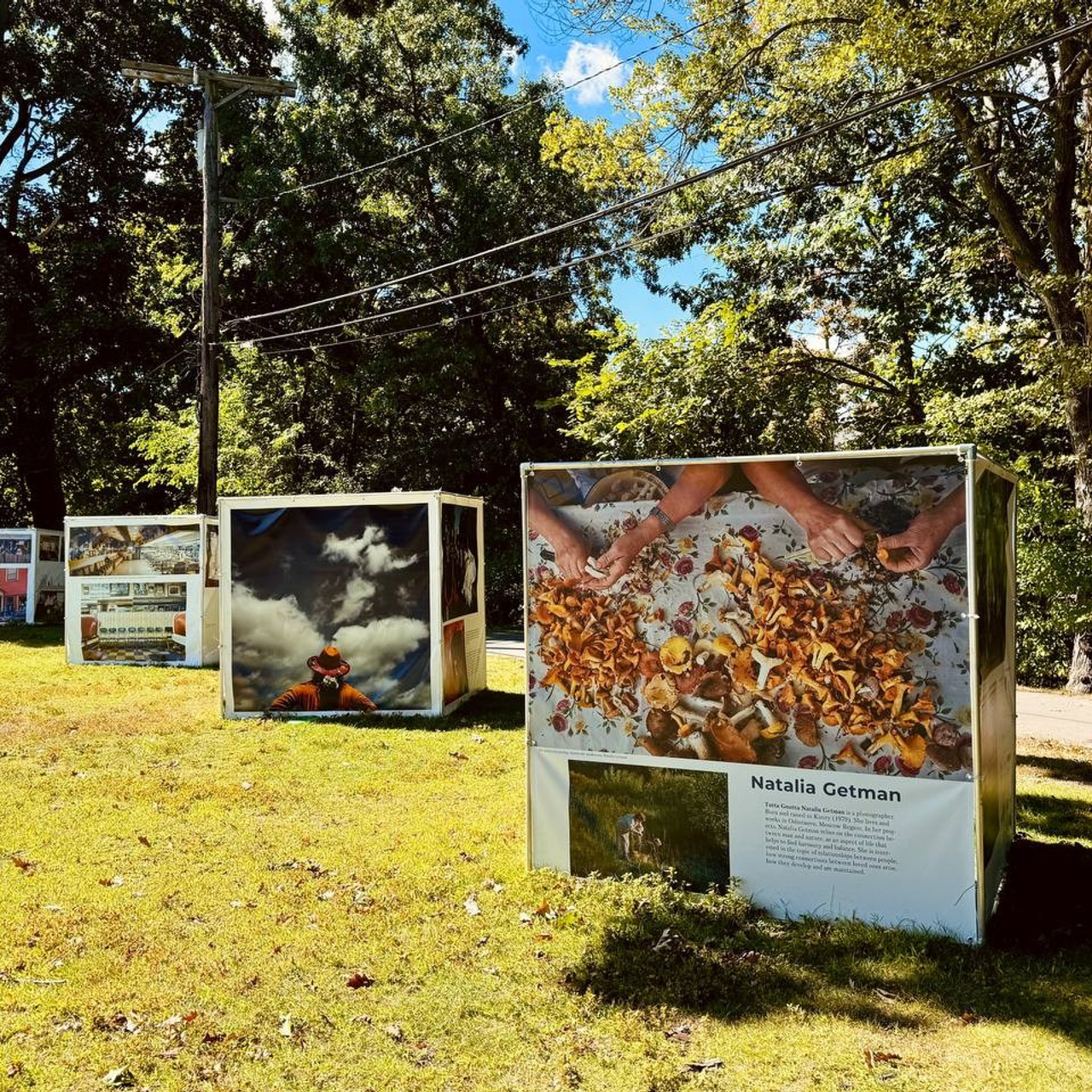 Griffin Museum June 7 — September 15, 2024. Tutta Gnutta