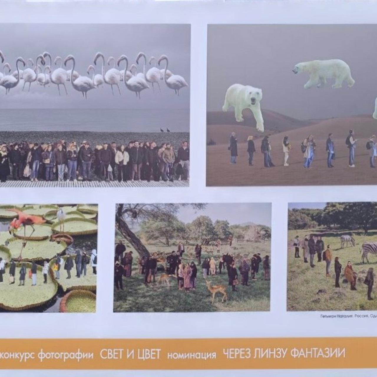 II-й Международный фестиваль фотографии «СВЕТ и ЦВЕТ» г. Елец. Tutta Gnutta