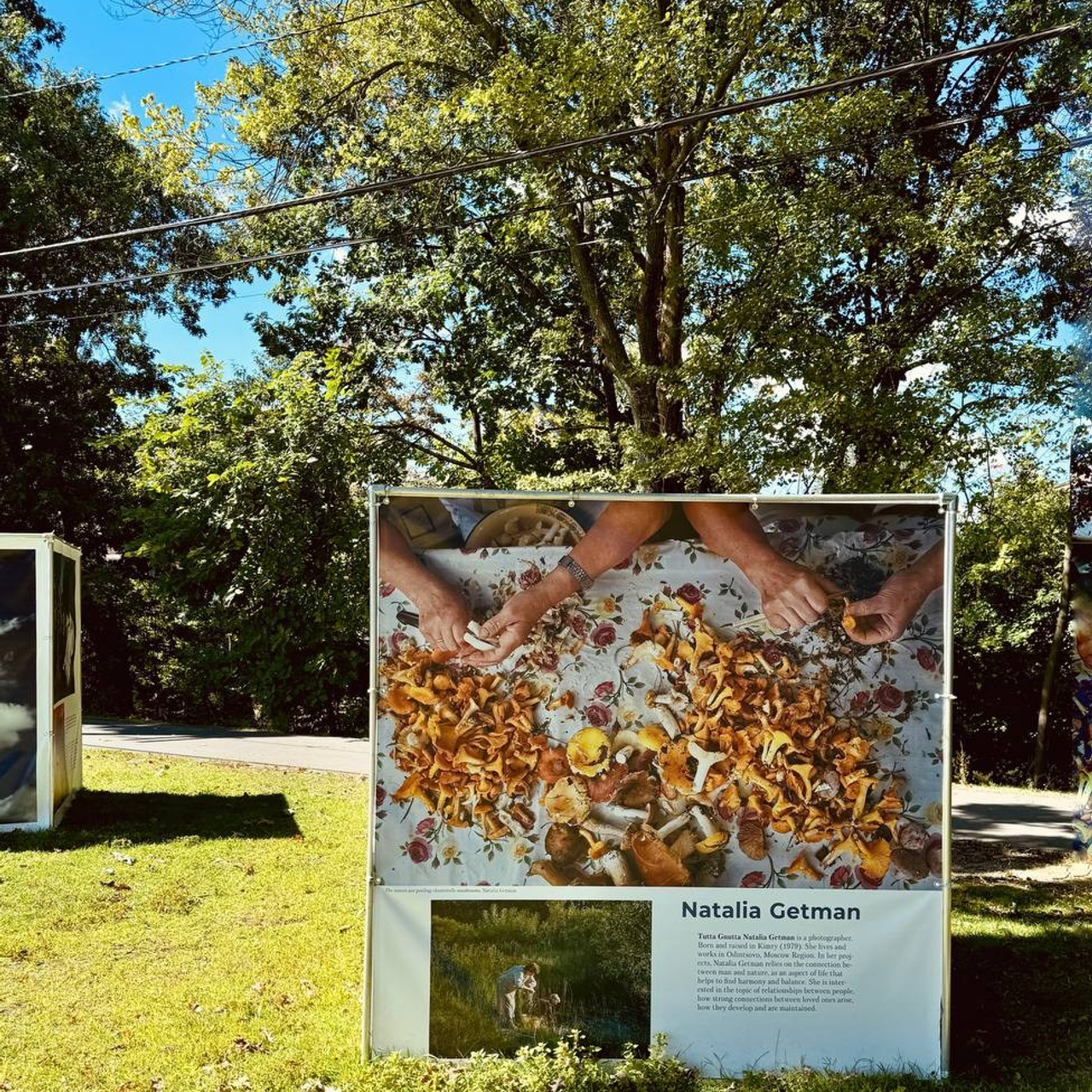 Griffin Museum June 7&nbsp;— September 15, 2024