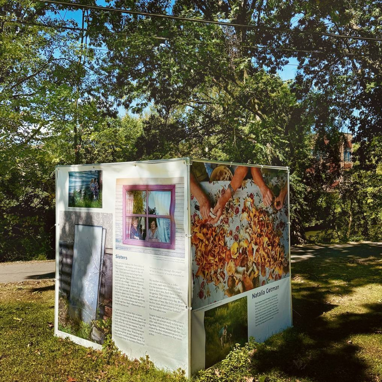 Griffin Museum June 7 — September 15, 2024. Tutta Gnutta