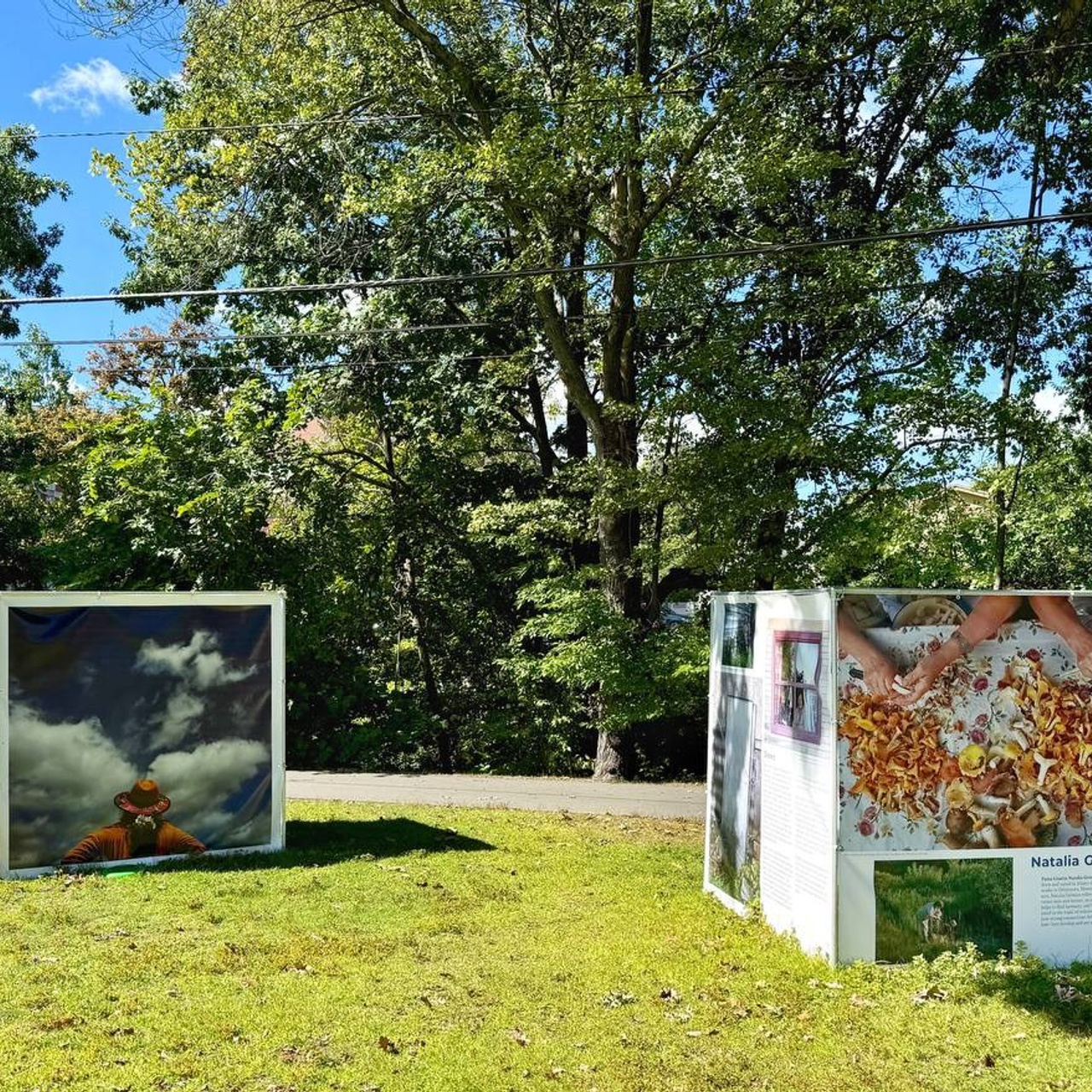 Griffin Museum June 7 — September 15, 2024. Tutta Gnutta