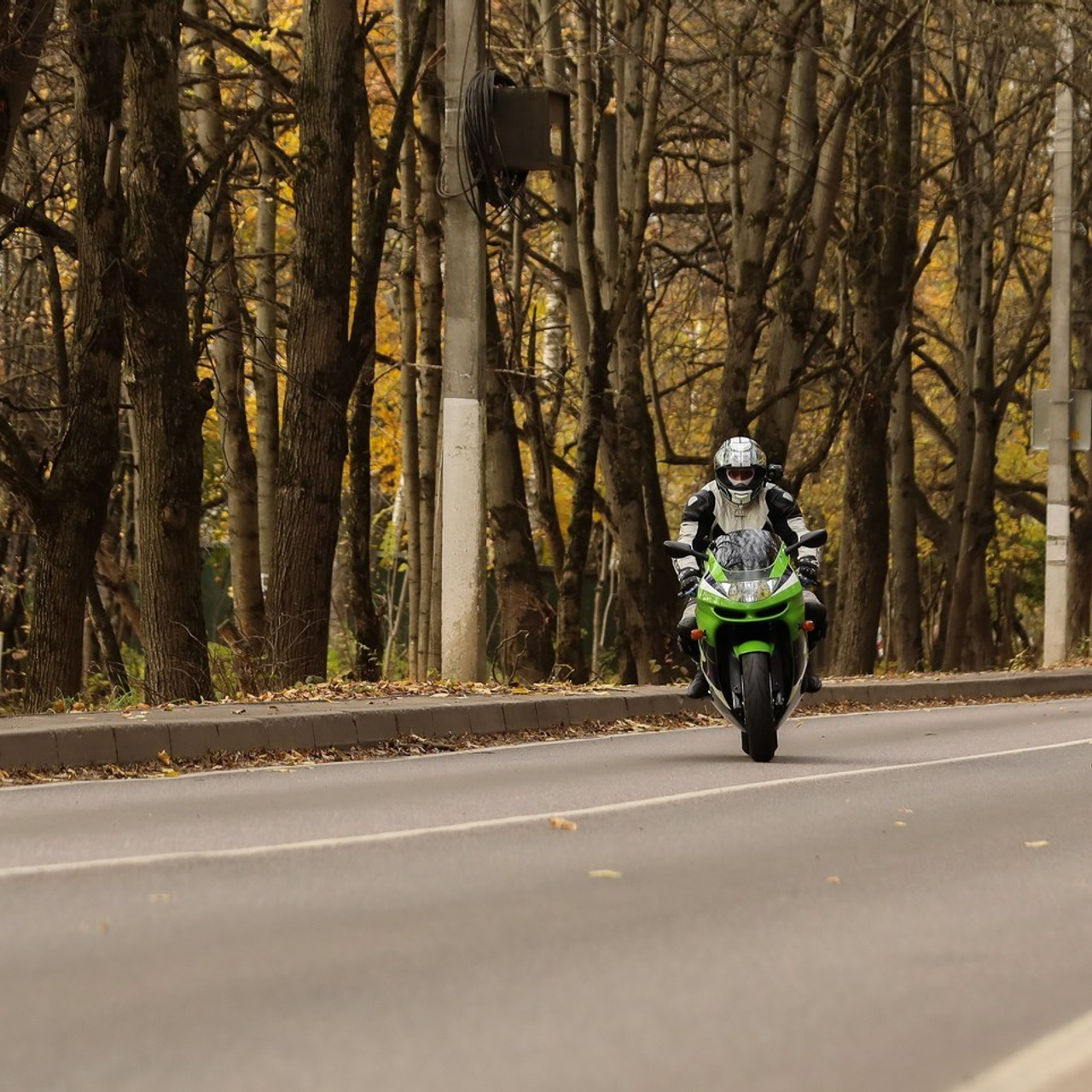 Отзывы. Фотограф Антон Чупринин