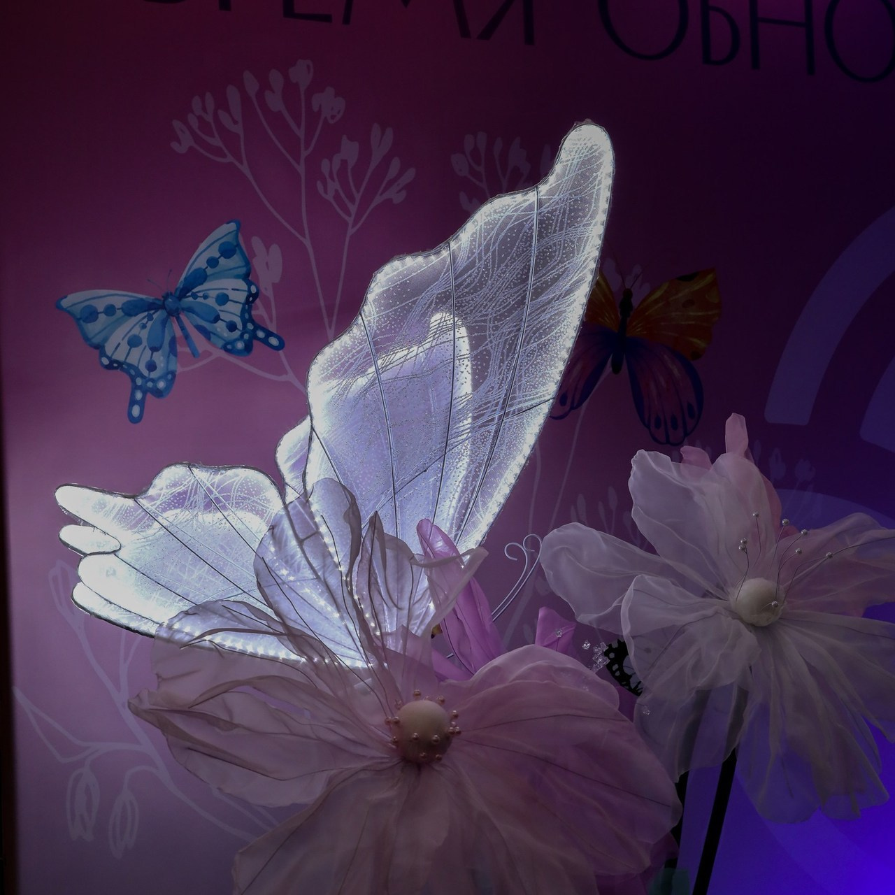 Отзывы. Фотограф Антон Чупринин