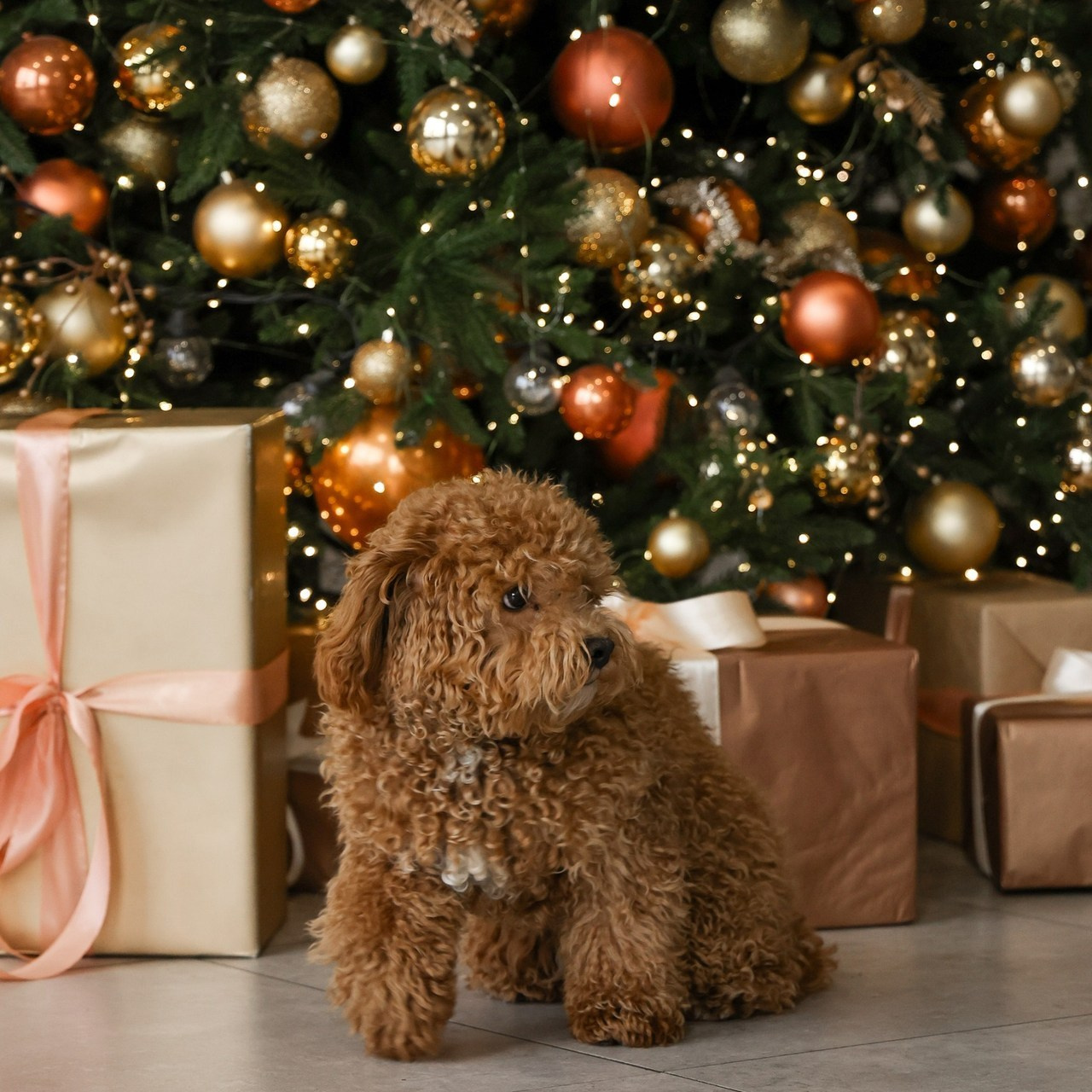 Отзывы. Фотограф Антон Чупринин