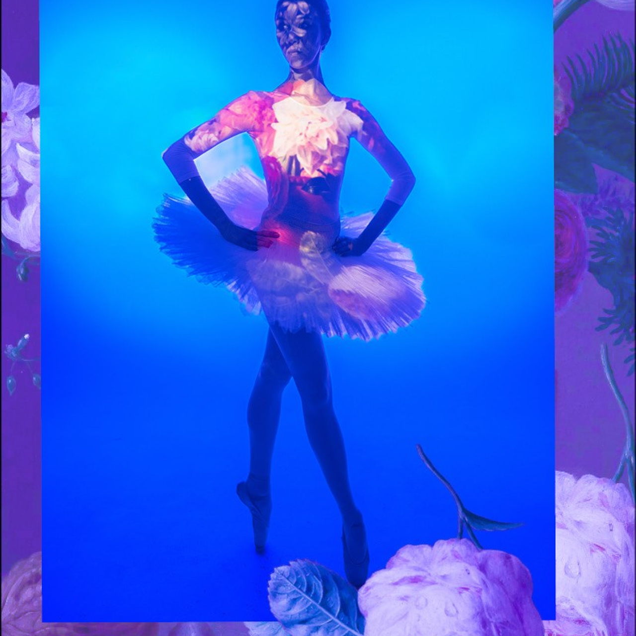 Цвет балета