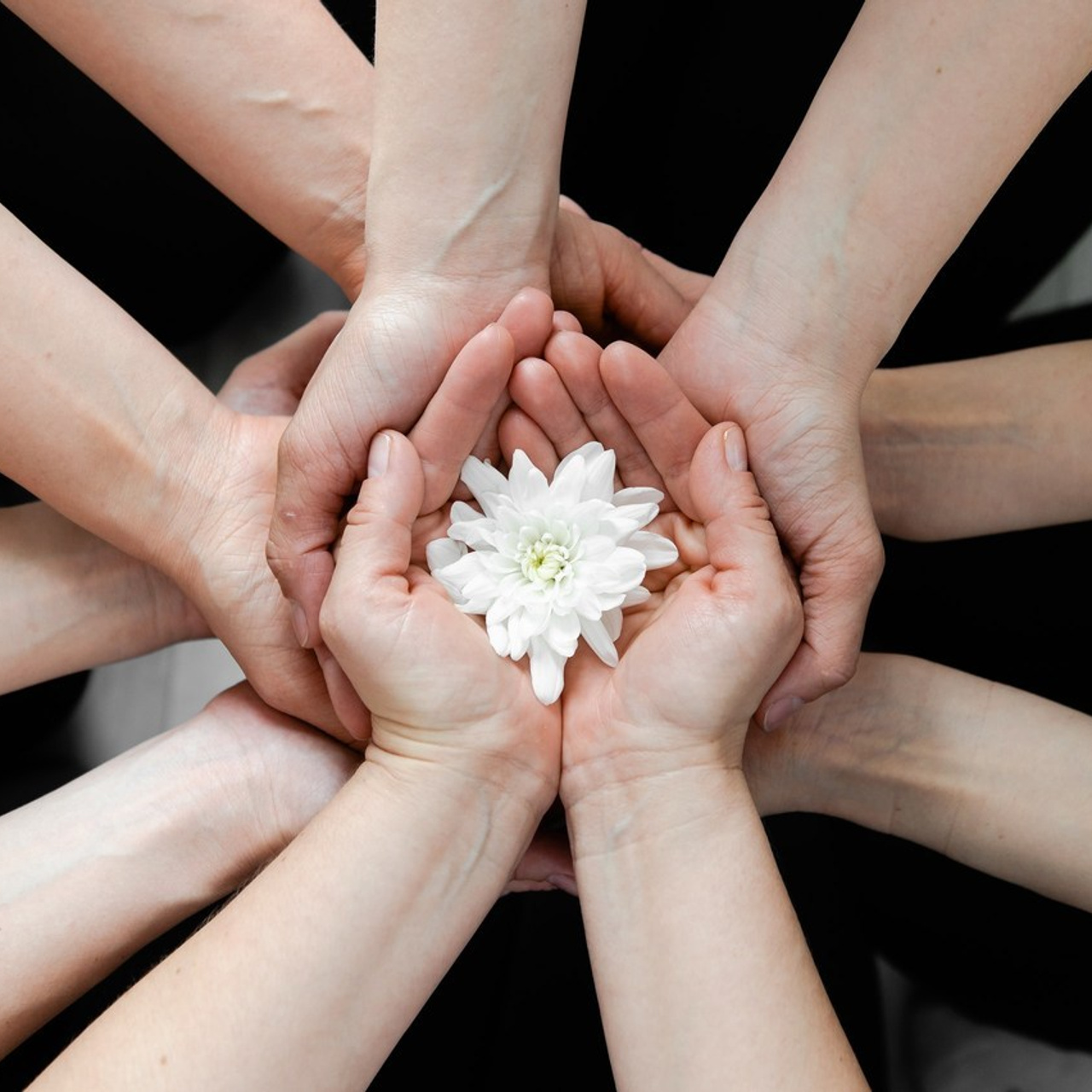 FEEDBACK. SASHA SKETCHER