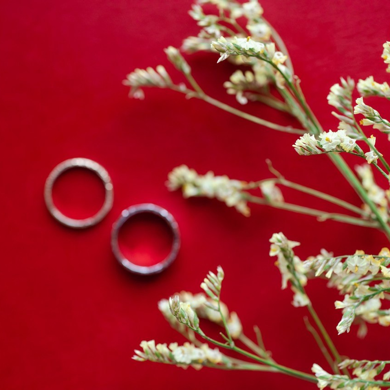 FEEDBACK. SASHA SKETCHER