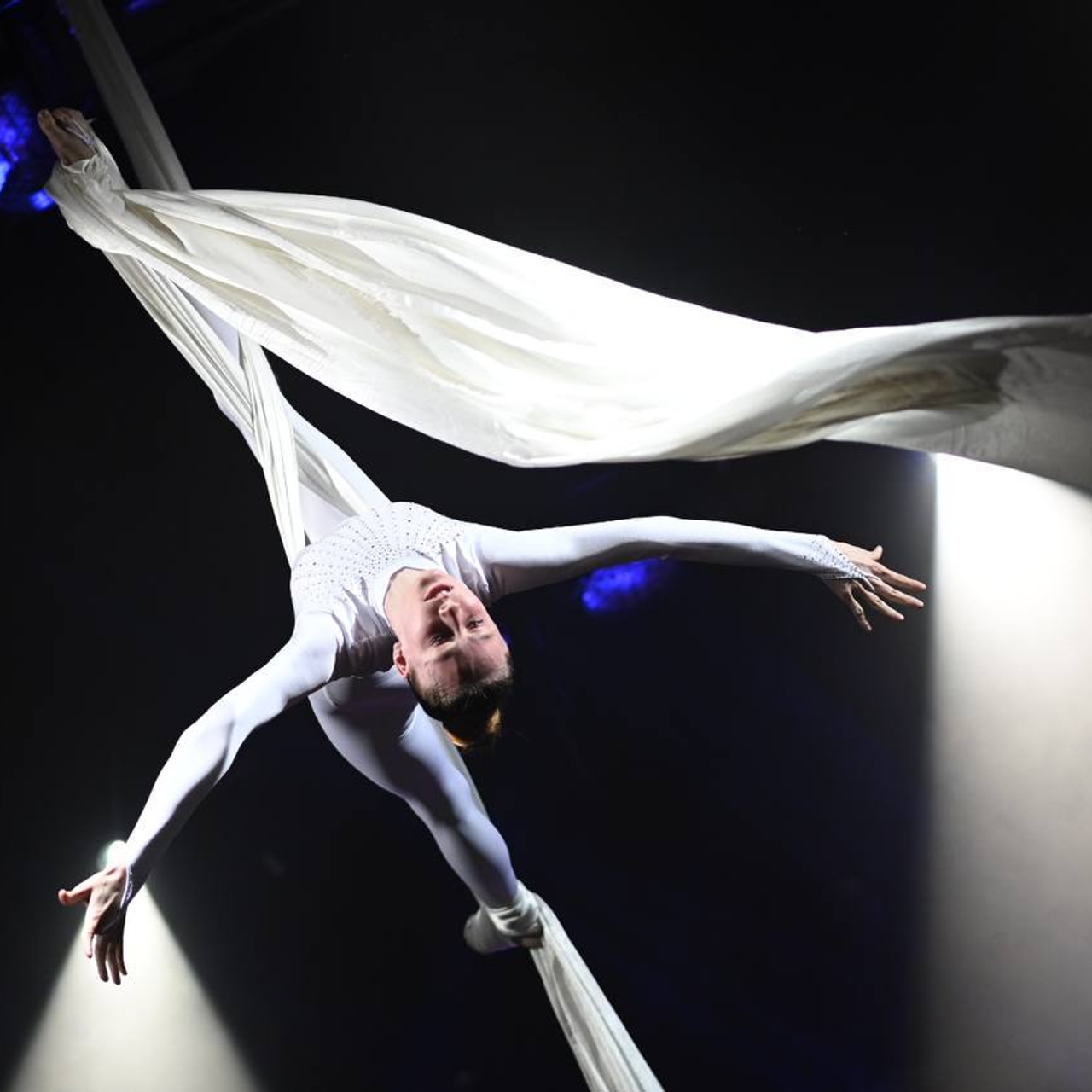 «Штрихи одного рисунка», Позитифф