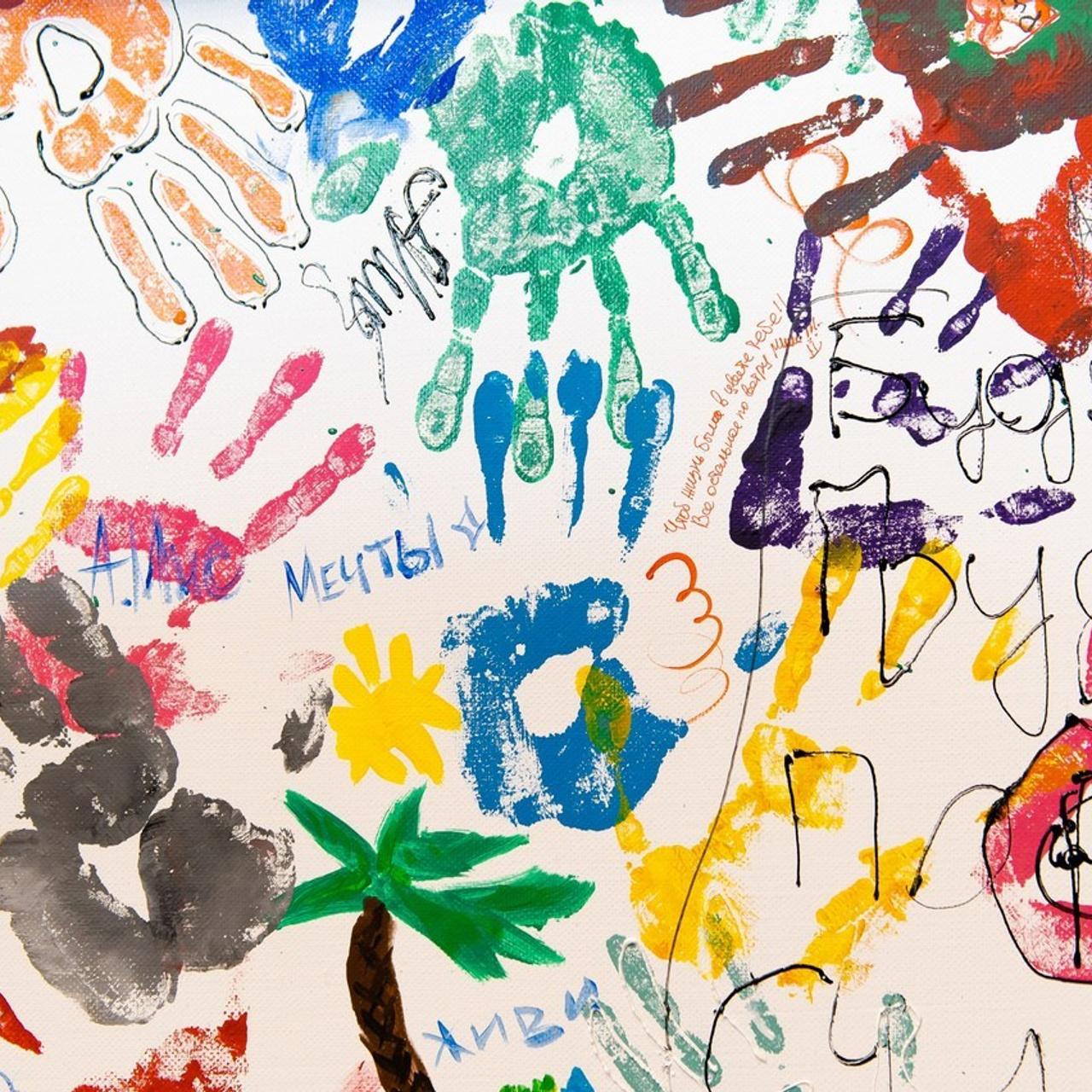 FEEDBACK. SASHA SKETCHER