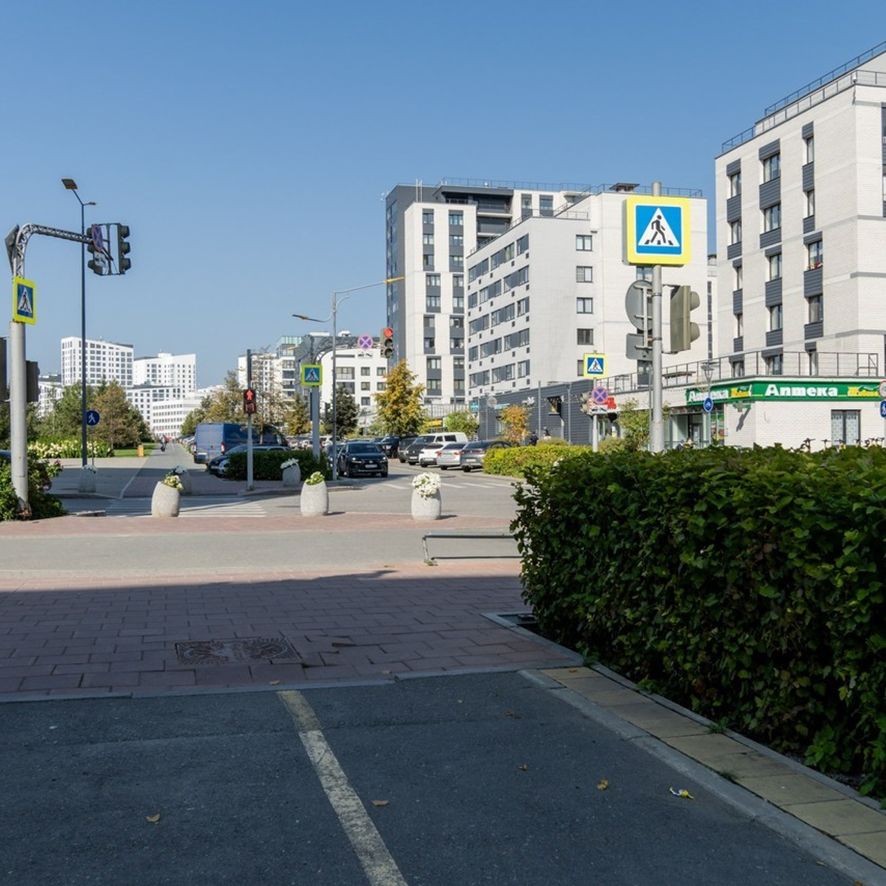 Отзывы. Софья Федотова — продюсер, тренер киноактеров