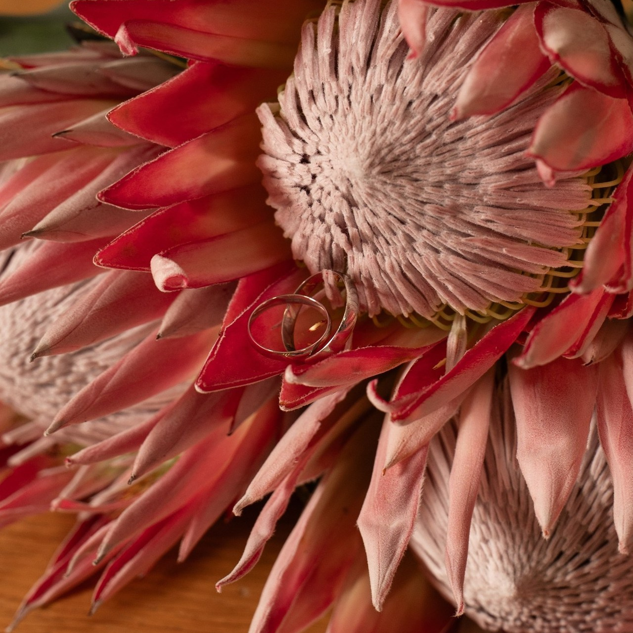 Отзывы. Журавлёва Елена