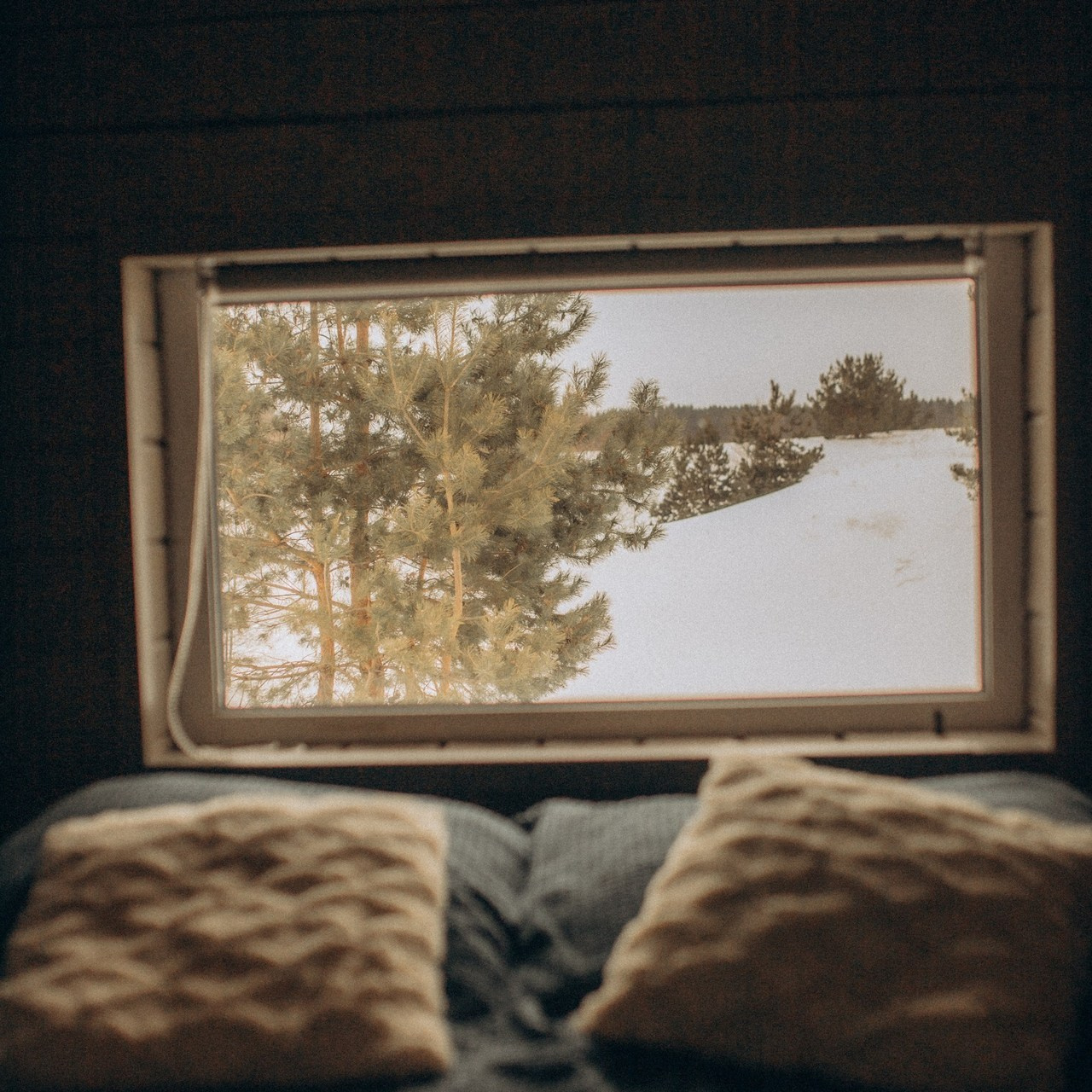 Отзывы. Семейный фотограф в Казани Шамгулова Марина