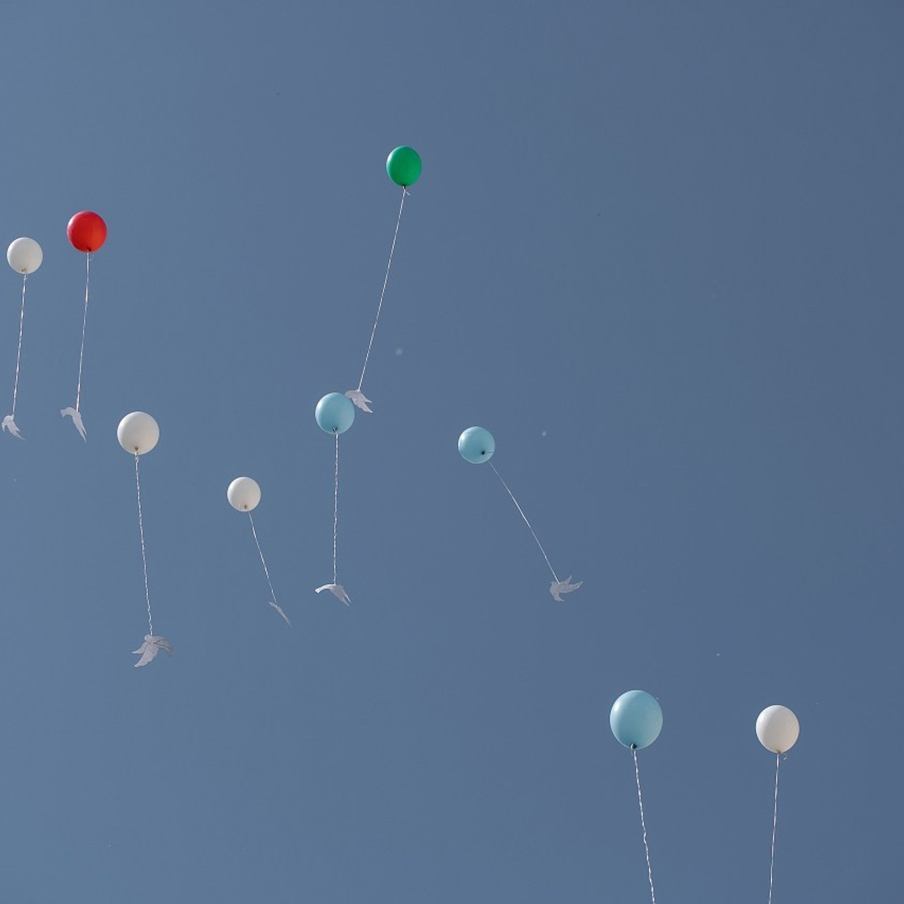 Отзывы. Свадебный фотограф в Уфе Лилия Сова