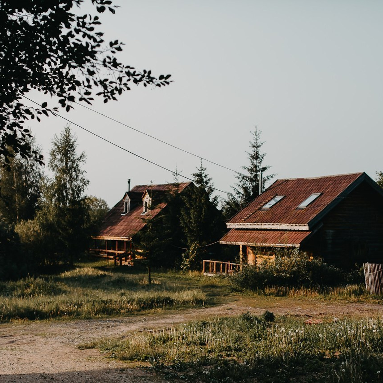 Отзывы. Репортажный и свадебный фотограф Ярославль, Москва Сдобников Андрей